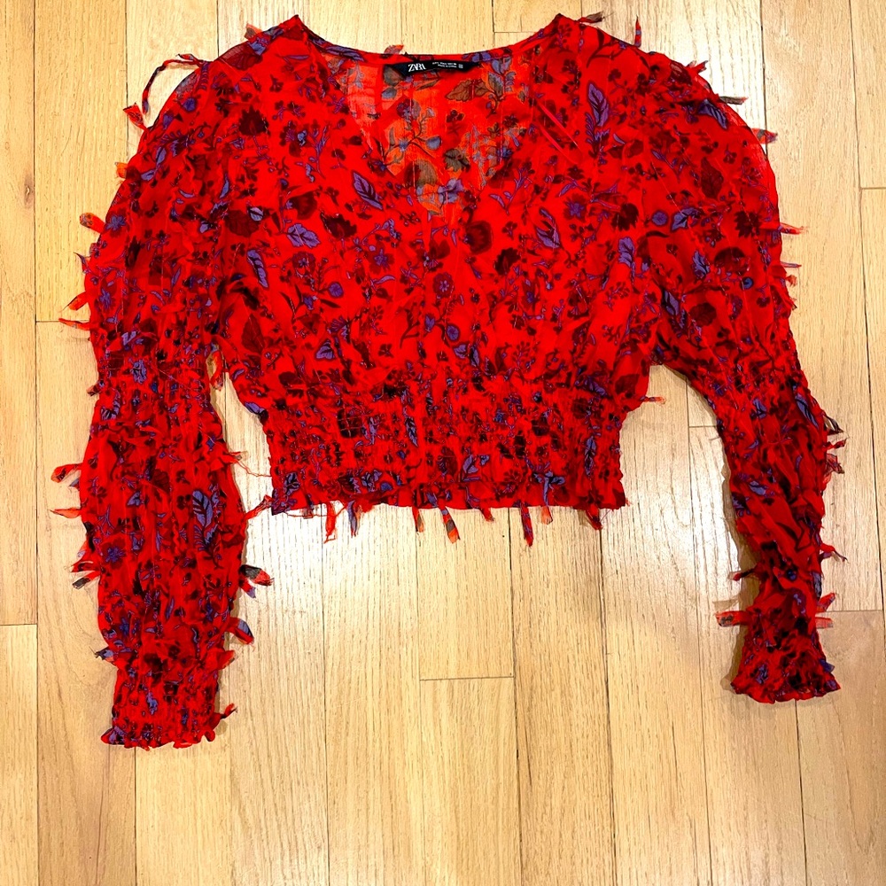 Zara long sleeve fringe top